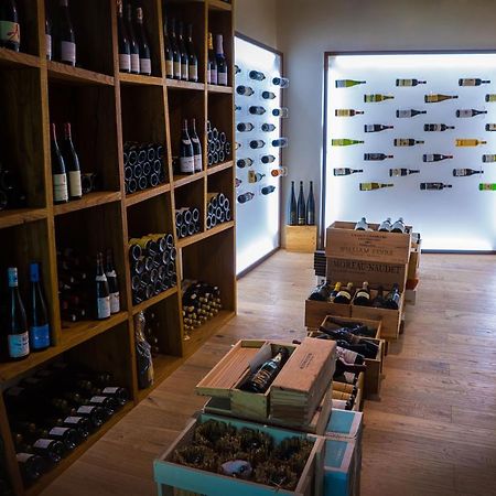 Locanda Del Pesce Briaco, B&B Lucca Ngoại thất bức ảnh
